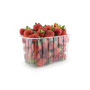 Упаковка для ягод HF на1 кг, ПЭТ, 1000 шт/ящ - Фото 2